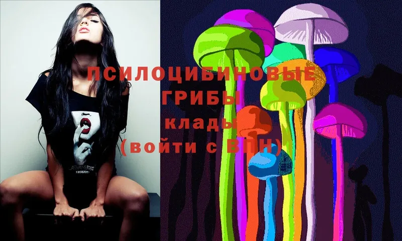 Псилоцибиновые грибы MAGIC MUSHROOMS  Димитровград 